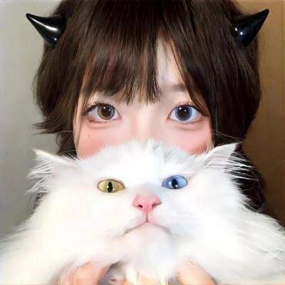 和歌子酒第六季